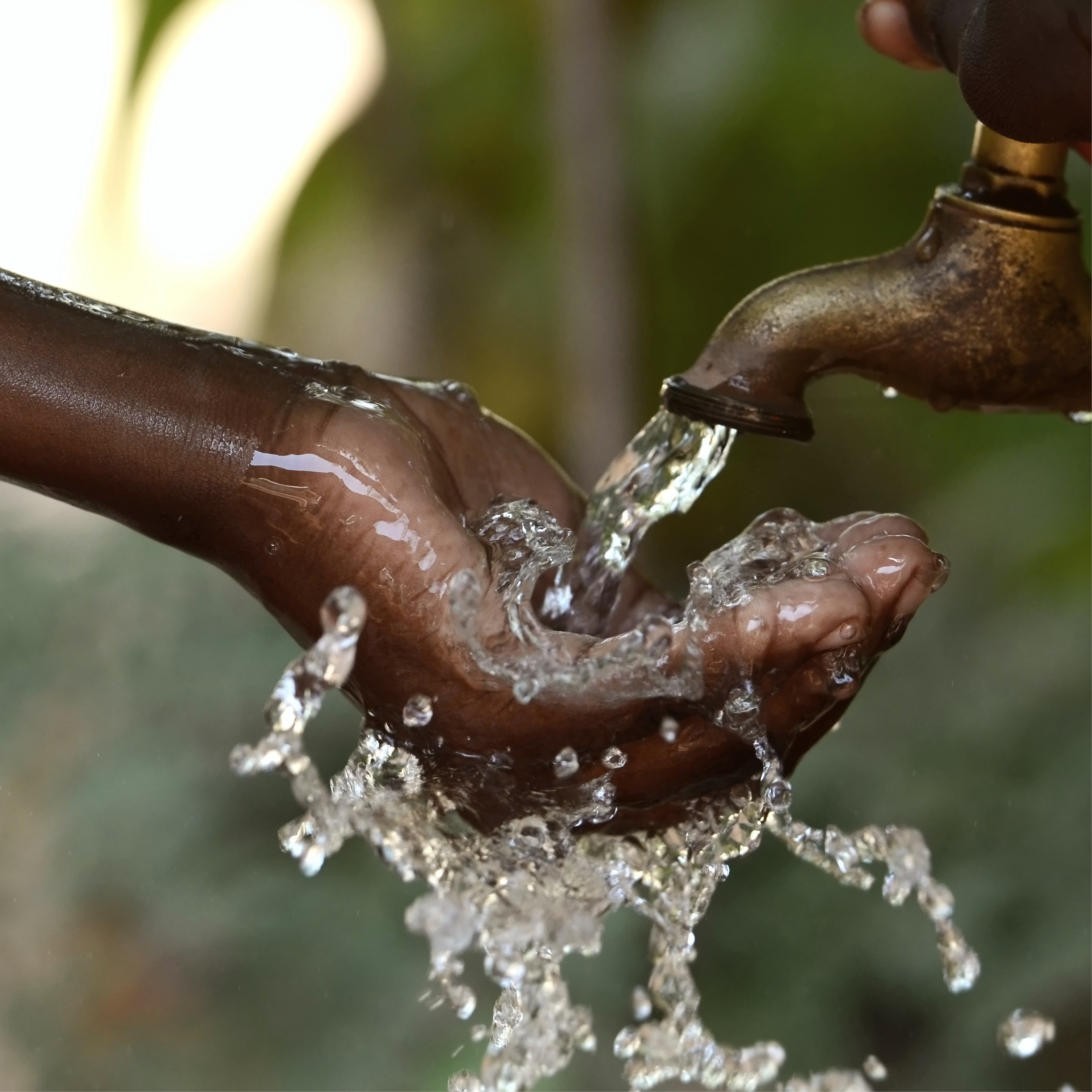 Sustainable Development Commitment